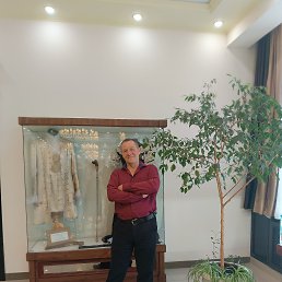 , 58 , 