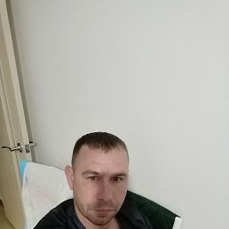 , 29, 