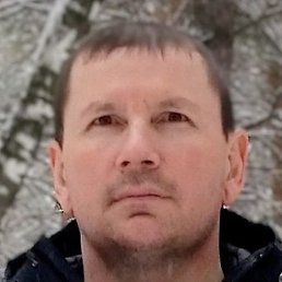 ���������, ����������