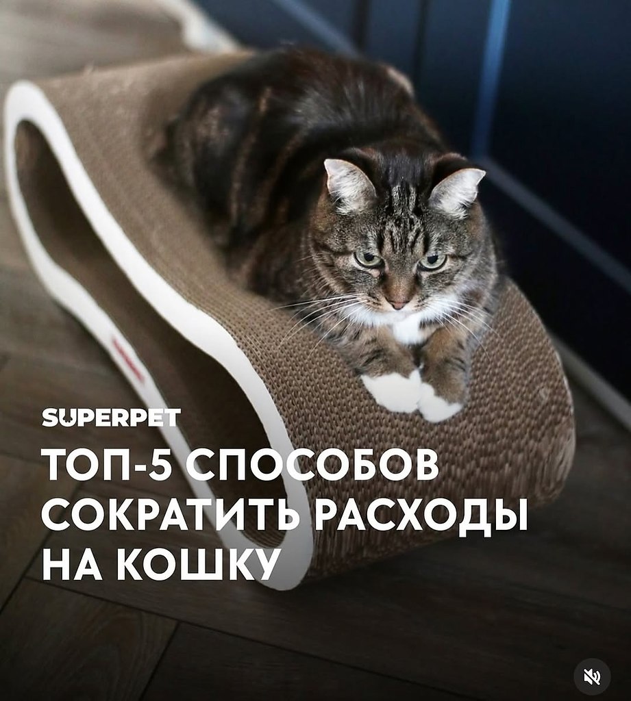     !)