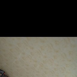 , 42, 