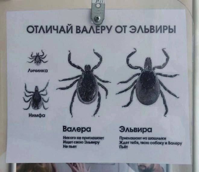   - 13  2025  21:18