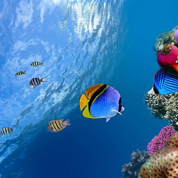 ���� ������, ������, 70 ��� - ��������� 7 ���� 2024