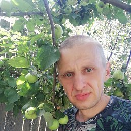 �������, 37 ���, �����