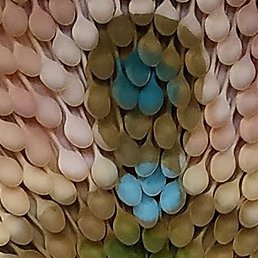 �����, ������, 50 ���