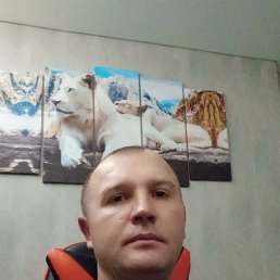 , 36, 