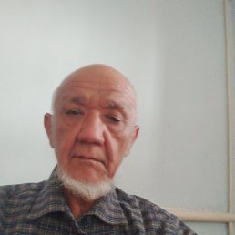 , 67, 