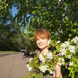 �������, ����������, 64 ����