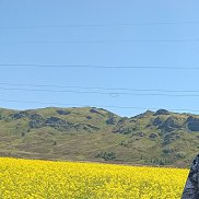 ����� ���������, 42 ����, ������