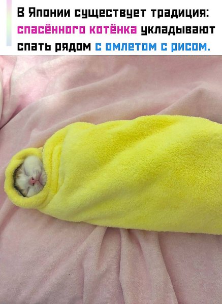 ��� ������������ � ����� ���������, � ��� ��������� �������� �������� � ����. ���������, ��� ����� ...