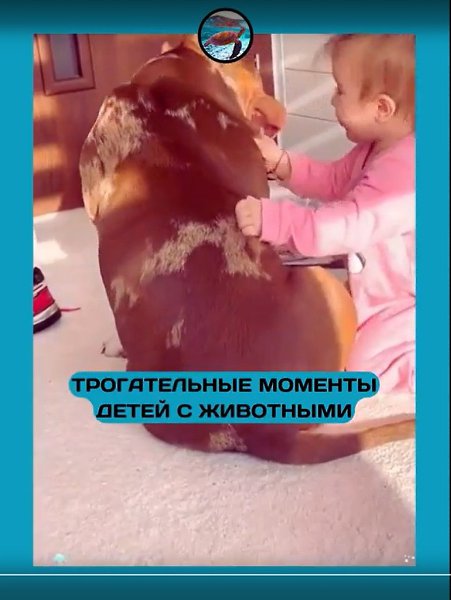     ?             , ... - 2