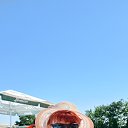 ���� ���������, ������-��-���� - ��������� 22 ������� 2025 � ������ ���� ����������