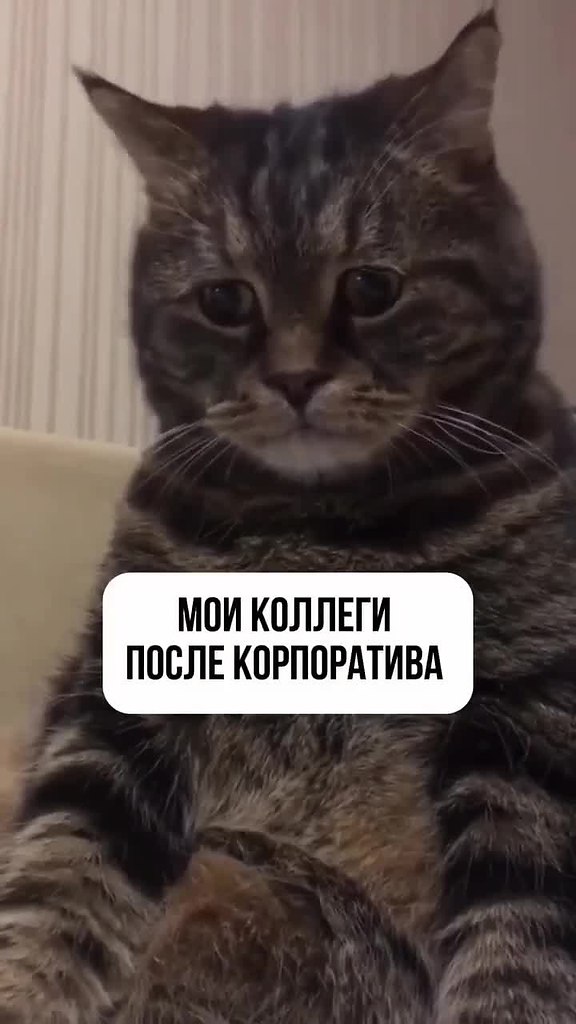     !
