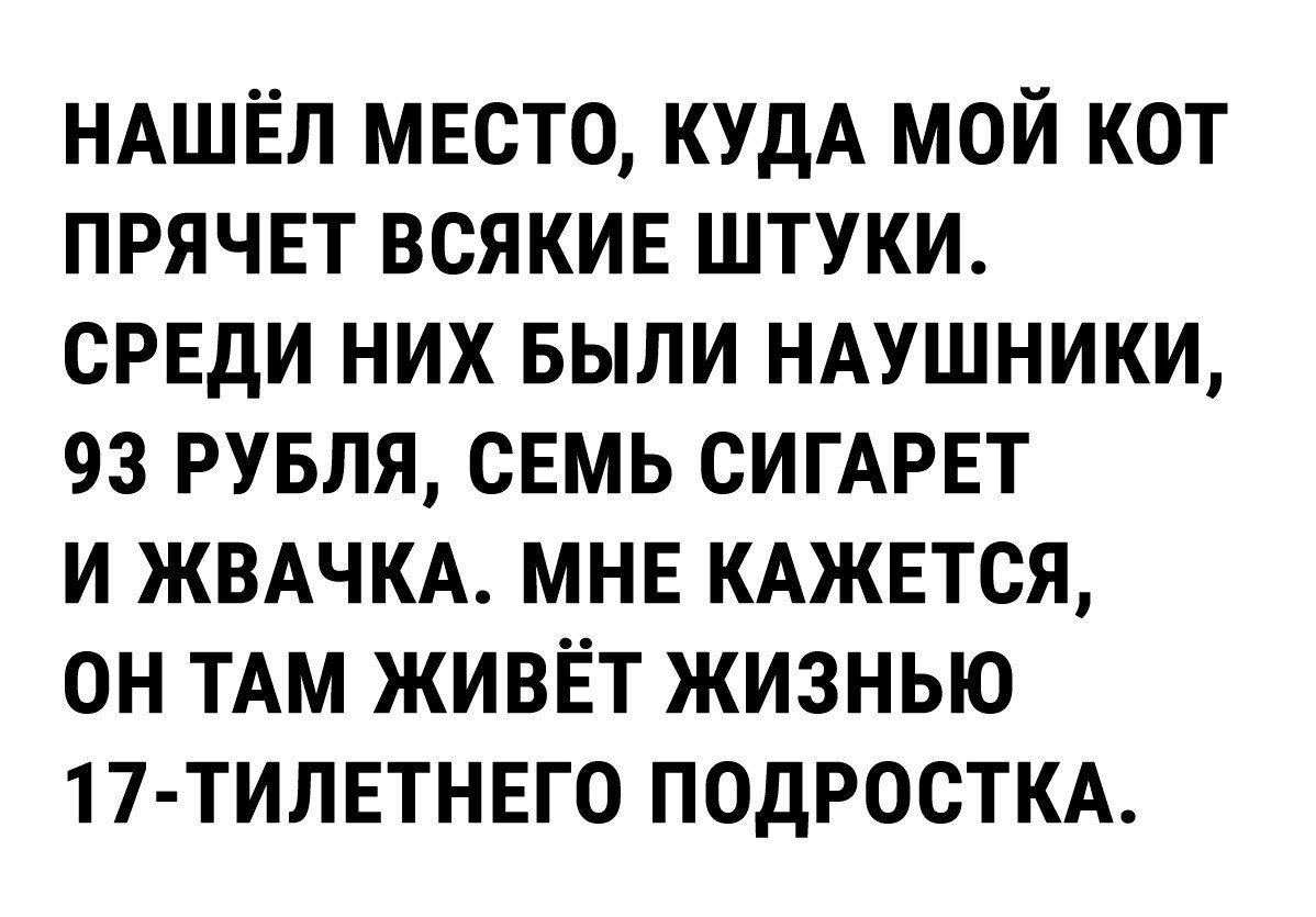 ���� ����� ������������. - 14 ������ 2026 � 15:10