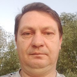 ���������, ���������, 47 ���