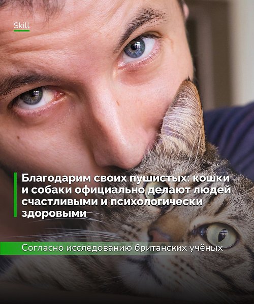 Наши любимцы: • Снижают стресс и тревожность (за счёт окситоцина и дофамина). • Уменьшают чувство ...