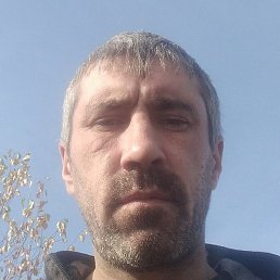 ���������, ������, 41 ���