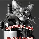 ���� �������, ������ - ��������� 6 ��� 2025 � ������ ���� ����������