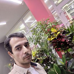 Yunus, ������, 39 ���