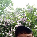 ���� ������, ���������, 31 ��� - ��������� 27 ����� 2025 � ������ ���� ����������