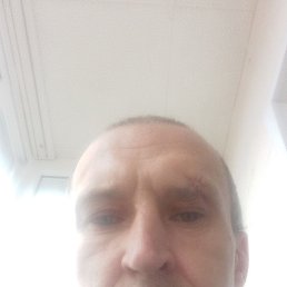 100, 41, 