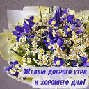 ���� �����, ����������� - ��������� 17 ������� 2025 � ������ ������ ��������
