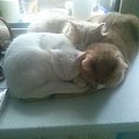 ���� ������, ������ - ��������� 12 ������ 2025 � ������ ������ ��������