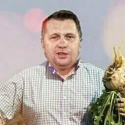 Wwarwick, ������, 53 ����