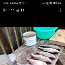 ���� ���������, ��������, 44 ���� - ��������� 8 ������ 2026 � ������ ���� ����������