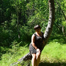 �������, ���������, 43 ����