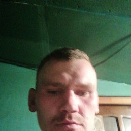 , 29, 