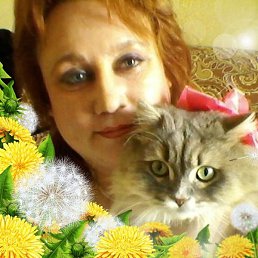 �����, ������������, 58 ���