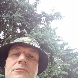 , 53, 