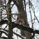 ���� ������ ����, ������, 49 ��� - ��������� 17 ������ 2026 � ������ ������ ��������