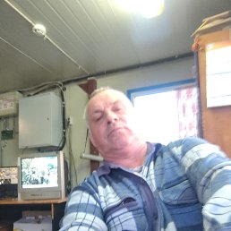 , 55, 