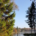 ���� ��������, ���������, 63 ���� - ��������� 17 ������� 2025