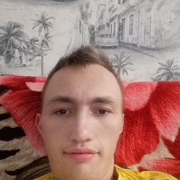 , 29, 