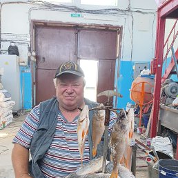 , 65, 