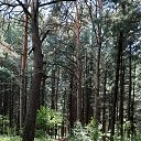 ���� �������, ������ - ��������� 25 ���� 2025 � ������ �������� ������ .�