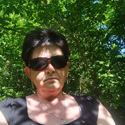 , 66, 