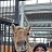 ���� ������, ����, 42 ���� - ��������� 27 ������ 2026