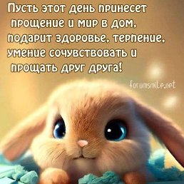 ���� �������, �������, 53 ���� - ��������� 20 ������ 2024