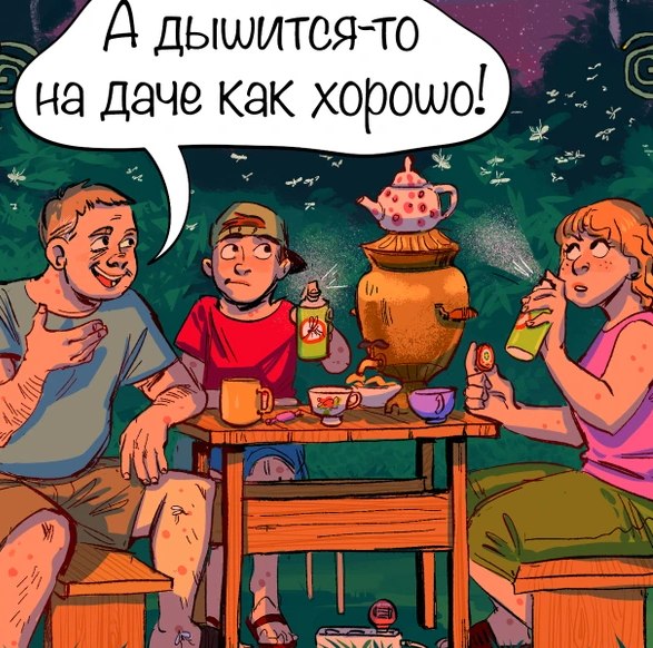   - 5  2025  15:05