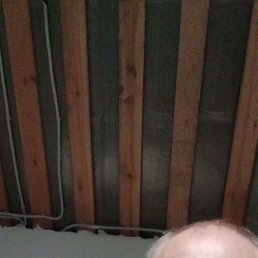 , 61 , 