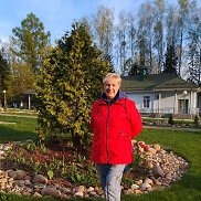 ������ ���������, 85 ���, ������