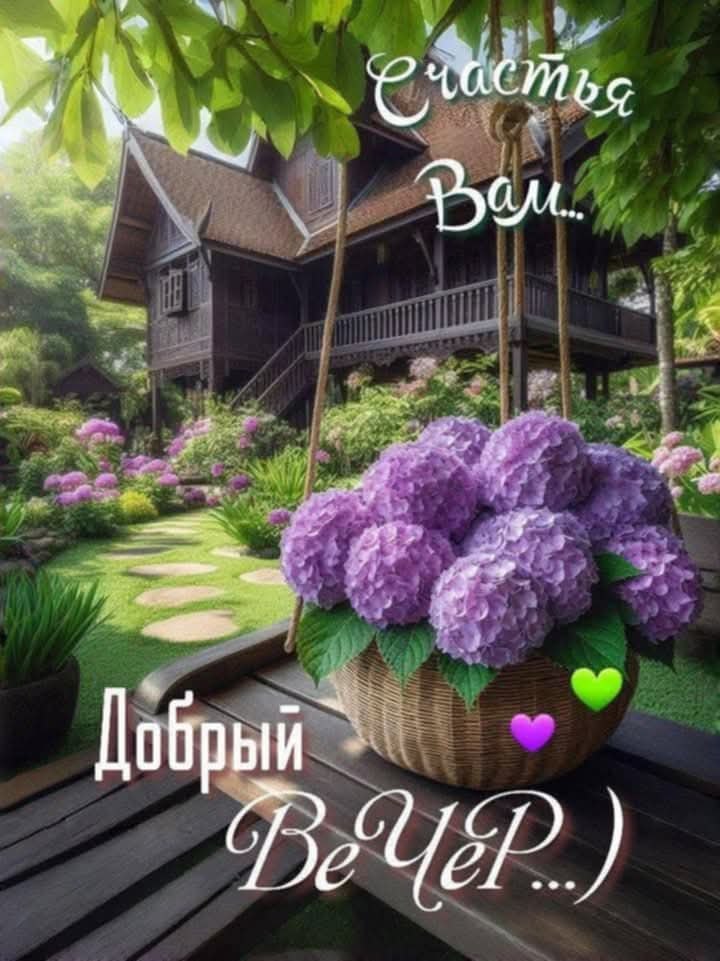   - 13  2025  17:59
