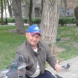 �������, ���������, 41 ���