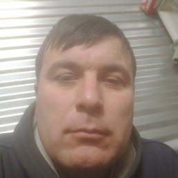 ������, ������, 33 ����