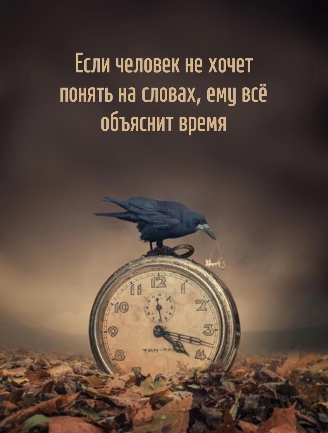  - 22  2025  07:52