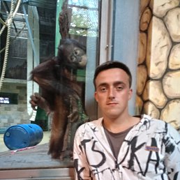 �����, 26 ���, �����-���������